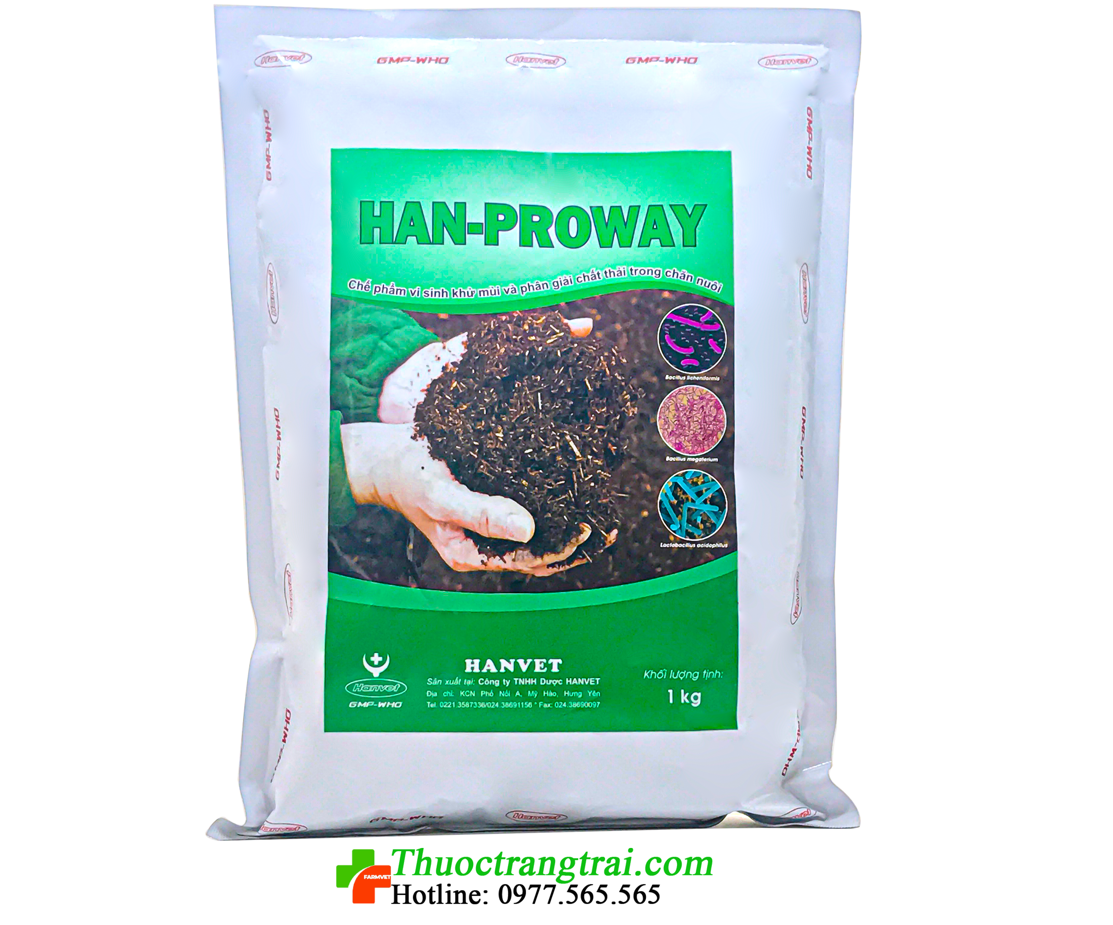 han-proway-1581005264.png