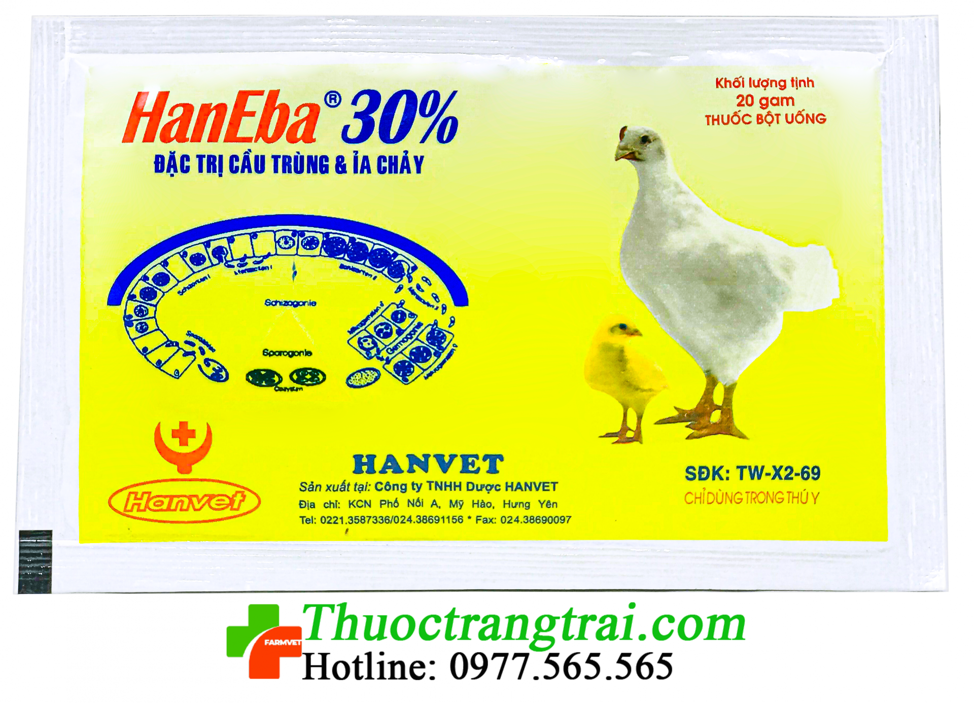haneba-30-1631268737.png