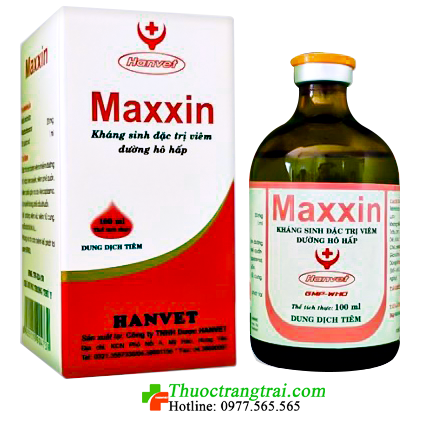 maxxin-1584808423.png