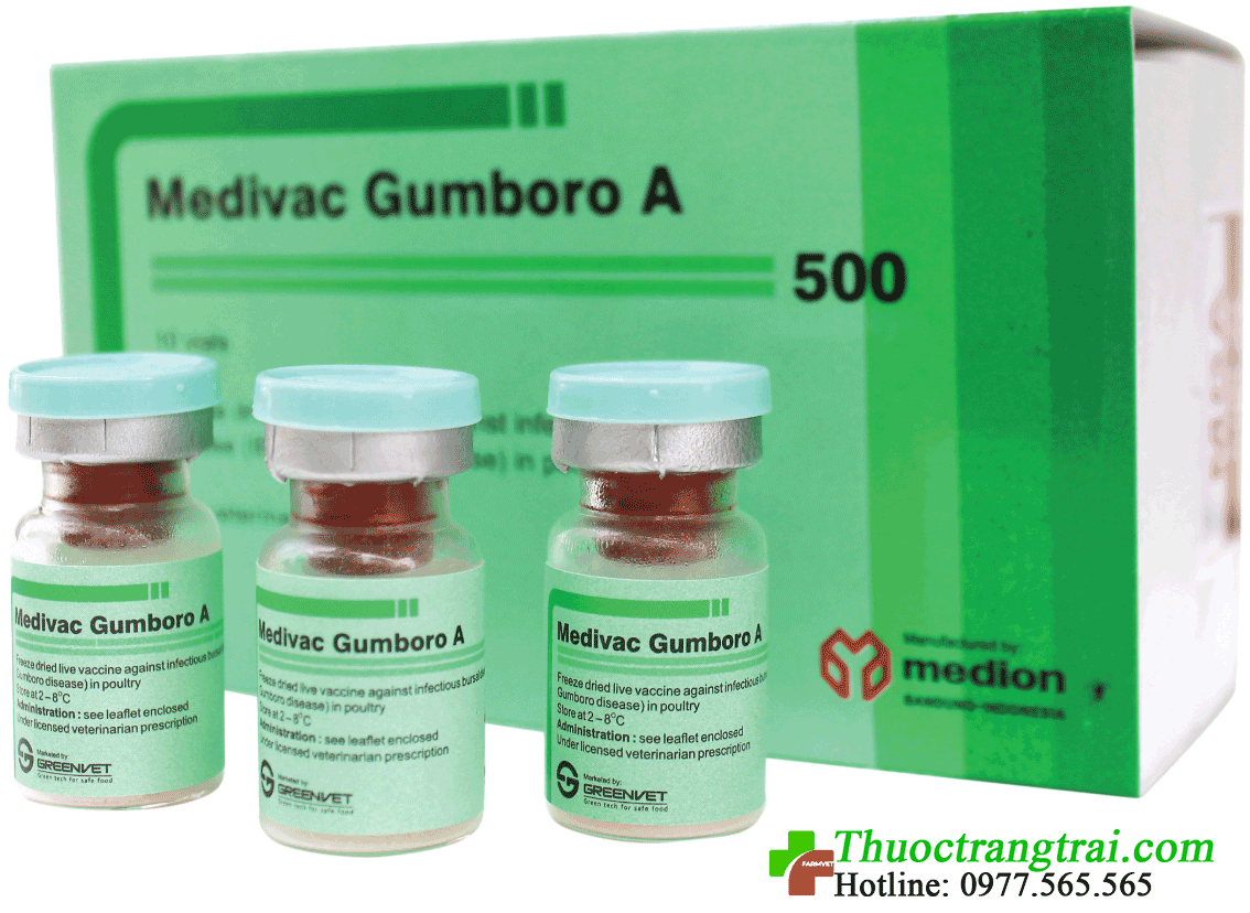 medivac-gumboro-a-1571554454.png