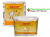 AMOXITIN - 250GR