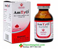 AMTYO - 100ML ( Hộp 10 LỌ )