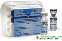 VACCINE CHÓ 5 BỆNH BIOCAN DHPPi (C.H Séc) - Hộp 10 liều