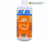 BKC 800 1 lít ( Thùng 10 chai )
