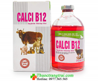 CALCI B12 100ml (Com bo 4 lọ)