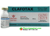 CLAFOTAX-1GR ( Hộp 10 lọ )