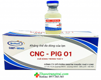 CNC-PIG 01 (KHÁNG THỂ ĐA DÒNG CỦA LỢN)