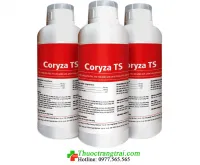 CORYZA-TS 1 Lít