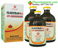 FE-DEXTRAN-B12 10% - 100ML ( 10 lọ )