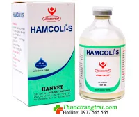 HAMCOLI -S 100ML ( 5 lọ )