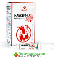 HANCEFT-LC 10ML ( hộp 10 tuýp )