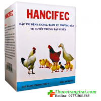 HANCIFEC - 5 GR ( 10 Lọ )