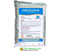 HAN-CILLIN-50 (THỦY SẢN)