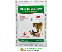 HANCOTMIX-FORTE 1kg