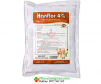 HANFLOR 4% 1kg