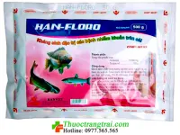 HAN-FLORO ( FLOFENICOL 10% ) - 1KG