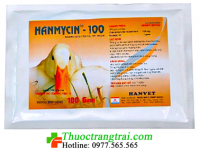HAMYCIN-100- 500GR