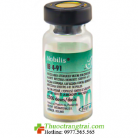 VẮC XIN NOBILIS® IB 4-91 ( Vắc xin phòng bệnh IB thể thận )