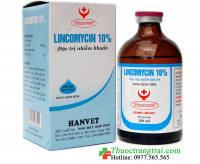 LINCOMYCIN 10% 100ML ( Hộp 10 Lọ )