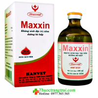 MAXXIN - 100ML ( Hộp 10 Lọ )