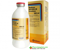 MEDIVAC ND-IB-EDS EMULSION ( 1000 dose )