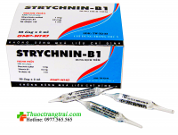 Strychnin-B1 20ML ( Hộp 10 lọ )