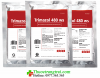 TRIMAZOL 480 ws ( 1 Kg )