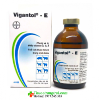 VIGANTOL® - E 50 ML