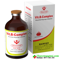 VIT.B-COMPLEX 20ml ( Hộp 10 lọ )